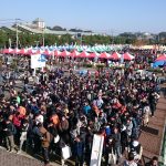 第20回大洗あんこう祭に初参加!これは未経験者にぜひ体感してほしい!