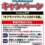 ワンダーフェスティバル2019夏 ツイッターキャンペーン開催のお知らせ!